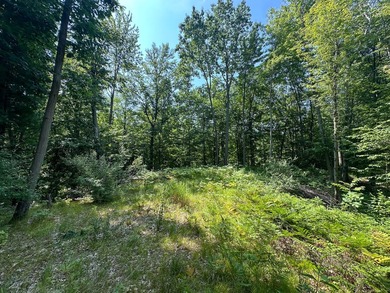 Don't miss this outstanding 40-acre recreational property in the - photo 14