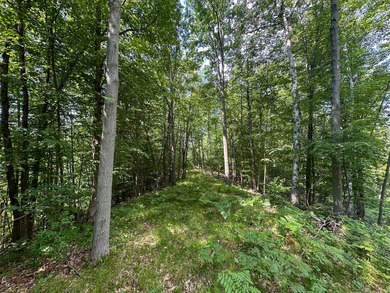 Don't miss this outstanding 40-acre recreational property in the - photo 15
