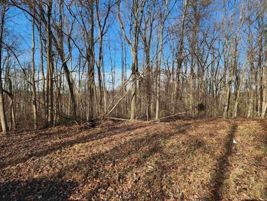 Welcome to a rare opportunity to build on 4-10 acre tracts in a - photo 18