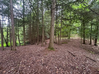 Don't miss this outstanding 40-acre recreational property in the - photo 18