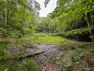 Don't miss this outstanding 40-acre recreational property in the - photo 19
