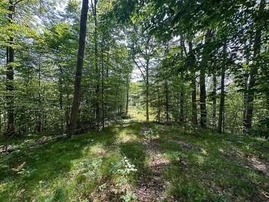 Don't miss this outstanding 40-acre recreational property in the - photo 21
