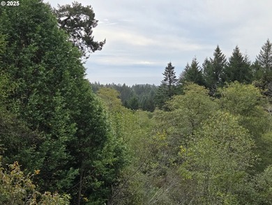 Bright and sunny ocean and forest view home on over 2 acres of - photo 21
