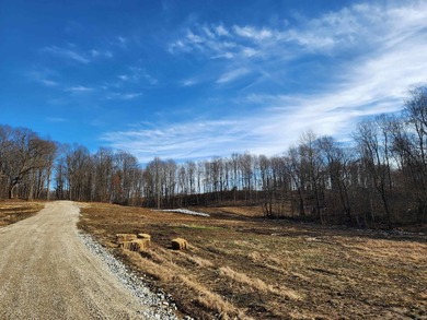 Welcome to a rare opportunity to build on 4-10 acre tracts in a - photo 22