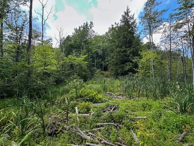 Don't miss this outstanding 40-acre recreational property in the - photo 22