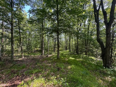 Don't miss this outstanding 40-acre recreational property in the - photo 23