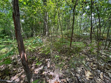 Don't miss this outstanding 40-acre recreational property in the - photo 24