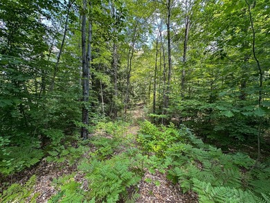 Don't miss this outstanding 40-acre recreational property in the - photo 27