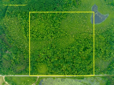 Don't miss this outstanding 40-acre recreational property in the - photo 35