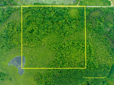 Don't miss this outstanding 40-acre recreational property in the - photo 36