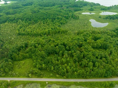 Don't miss this outstanding 40-acre recreational property in the - photo 37