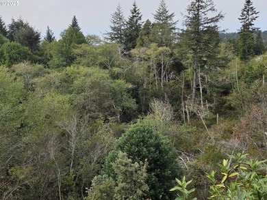 Bright and sunny ocean and forest view home on over 2 acres of - photo 37