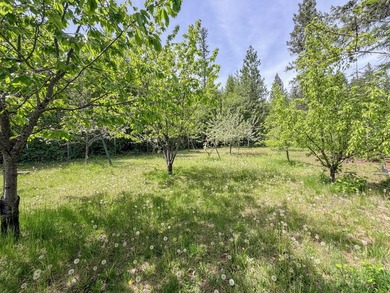 PRIVATE one-level home on beautiful 20 acres, big shop, located - photo 48