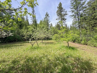 PRIVATE one-level home on beautiful 20 acres, big shop, located - photo 49