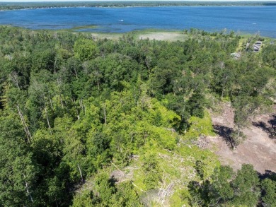 Lake Acreage For Sale in Merrifield, Minnesota