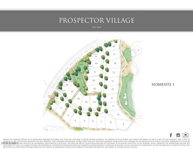 Build your Dream Home in Prospector Village at Superstition - photo 9