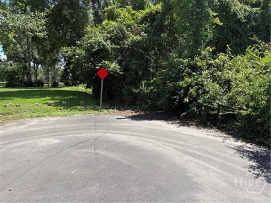 This property is a 14000-sf lot suitable for two 7000 sf - photo 3