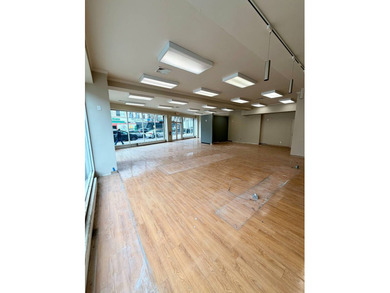12-Family (8 Stabilized / 4 Free Market) + Large Storefront - - photo 4