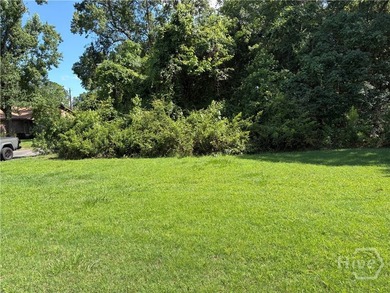 This property is a 14000-sf lot suitable for two 7000 sf - photo 5