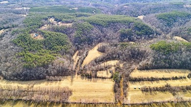643 River Bottom Lane is a rare 15 acre riverfront retreat less - photo 10
