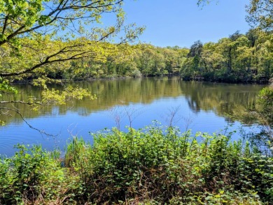Lake Commercial For Sale in East Marion, New York