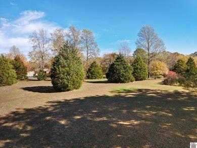 72 Hour Sale! Ends Sunday, June 21st! Motivated Seller. Discover - photo 31