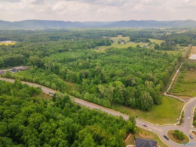 (private lake, pond, coastal) Acreage For Sale in Owens Cross Roads Alabama