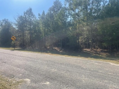 Lake Lot For Sale in Vienna, Georgia
