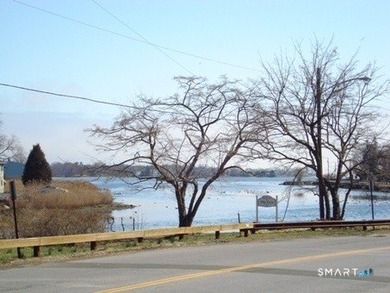 Picture yourself taking walks by the water in Cove Island Park - photo 16
