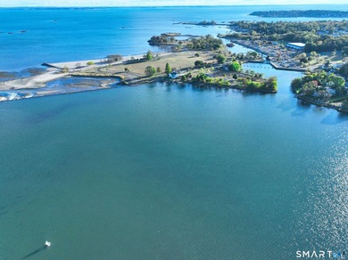 Picture yourself taking walks by the water in Cove Island Park - photo 28
