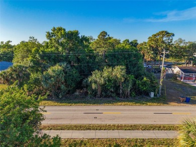 Lehigh Acres Area Lot For Sale in Lehigh Acres Florida
