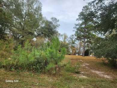 RIVER POINTE PLANTATION RESIDENTIAL LOT IN THE AREA'S PREMIER - photo 2