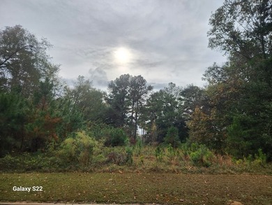 RIVER POINTE PLANTATION RESIDENTIAL LOT IN THE AREA'S PREMIER - photo 3