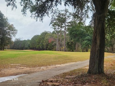 WATERFRONT LOT ON THE FLINT RIVER IN PRESTIGIOUS RIVER POINTE - photo 6