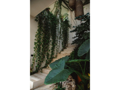Villa F&C - Architectural Elegance & Luxury in Aldea Zama, - photo 11