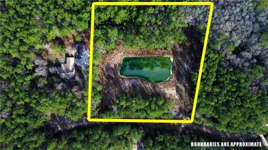 (private lake, pond, coastal) Acreage For Sale in Kingsland Georgia