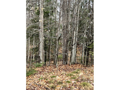 Now is the time to invest in LAND! This parcel is listed at the - photo 2