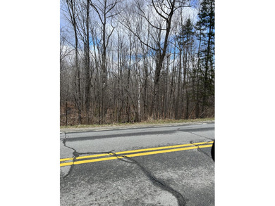 Now is the time to invest in LAND! This parcel is listed at the - photo 7