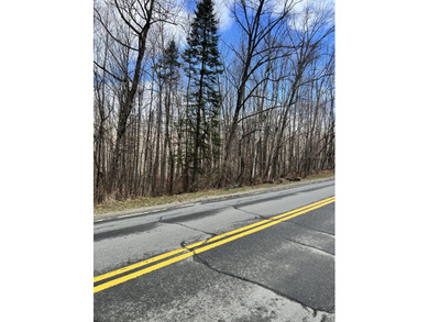 Now is the time to invest in LAND! This parcel is listed at the - photo 8