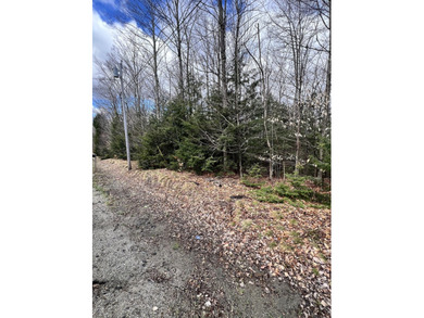 Now is the time to invest in LAND! This parcel is listed at the - photo 9