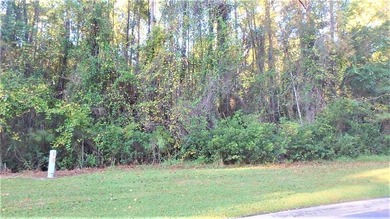 STUNNING 2 ACRE LOT LOCATED ON A CUL DE SAC IN THE TRANQUIL - photo 7