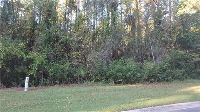 STUNNING 2 ACRE LOT LOCATED ON A CUL DE SAC IN THE TRANQUIL - photo 8