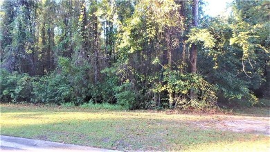 STUNNING 2 ACRE LOT LOCATED ON A CUL DE SAC IN THE TRANQUIL - photo 9