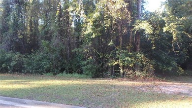 STUNNING 2 ACRE LOT LOCATED ON A CUL DE SAC IN THE TRANQUIL - photo 10