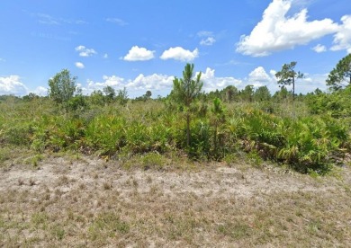 Port Charlotte Waterway Lakes Area Lot For Sale in Port Charlotte Florida