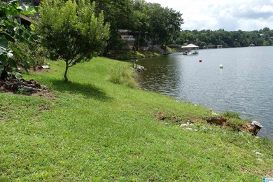 GREAT OPPORTUNITY TO BE AT THE LAKE WITHOUT BREAKING THE BANK! - photo 3