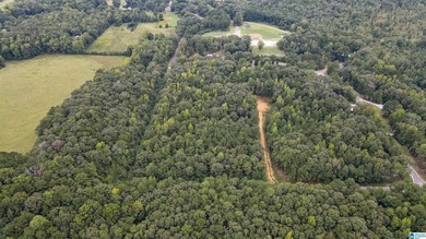 Great Opportunity to invest in Wilsonville! This 19.40 Acre - photo 1