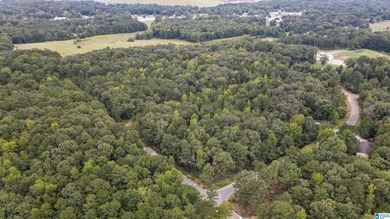 Great Opportunity to invest in Wilsonville! This 19.40 Acre - photo 2