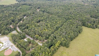Great Opportunity to invest in Wilsonville! This 19.40 Acre - photo 3