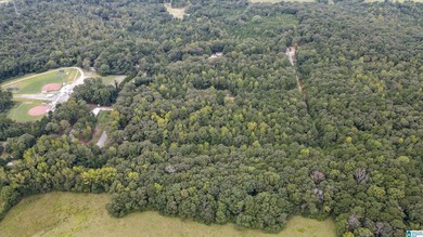Great Opportunity to invest in Wilsonville! This 19.40 Acre - photo 4
